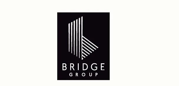 Bridge Group logo