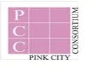 Grand Pinkcity Infra Project photo