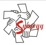 Synergy Infra Planners logo
