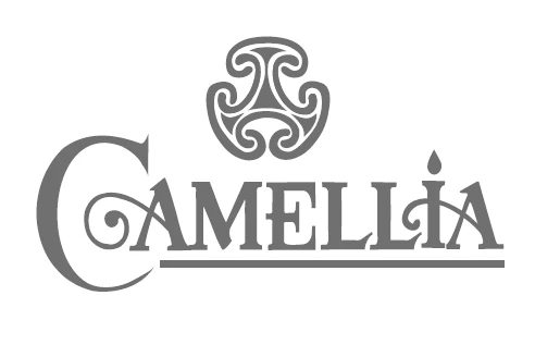 Camellia Infrastructure Limited photo