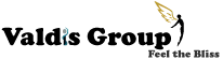Valdis Group logo