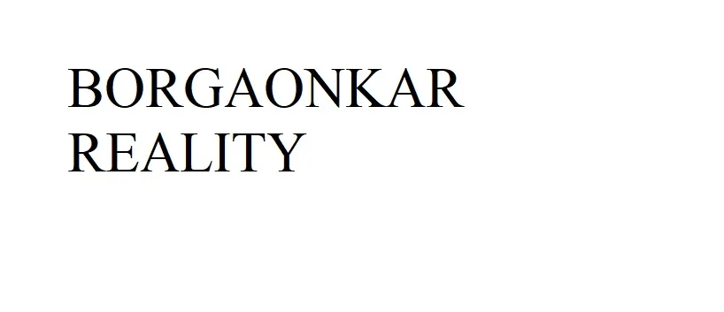 BORGAONKAR REALITY logo