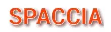 Spaccia Design Studio logo
