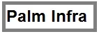 Palm Infra logo