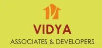 Vidya Associates photo