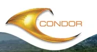 Condor Builders logo
