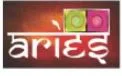 Aries Infratech logo